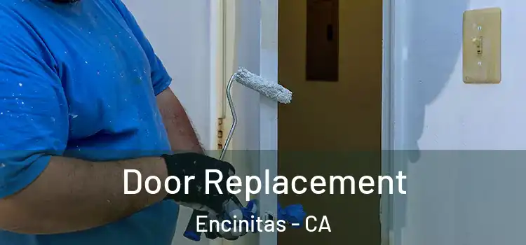 Door Replacement Encinitas - CA