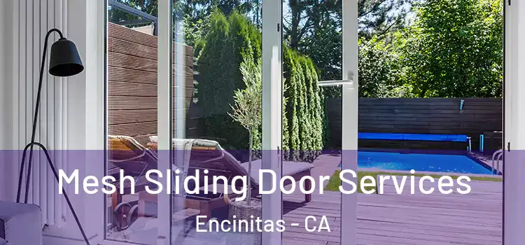 Mesh Sliding Door Services Encinitas - CA